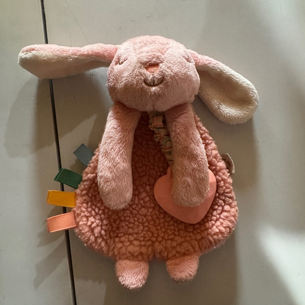 Itzy Ritzy Itzy Lovey Plush & Teether Toy in the "Ana the Bunny"